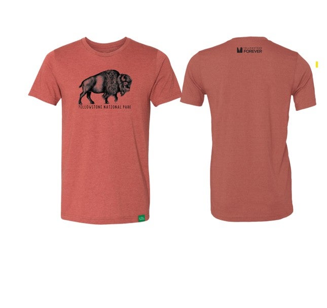 Bison Sketch Tee | Yellowstone Forever