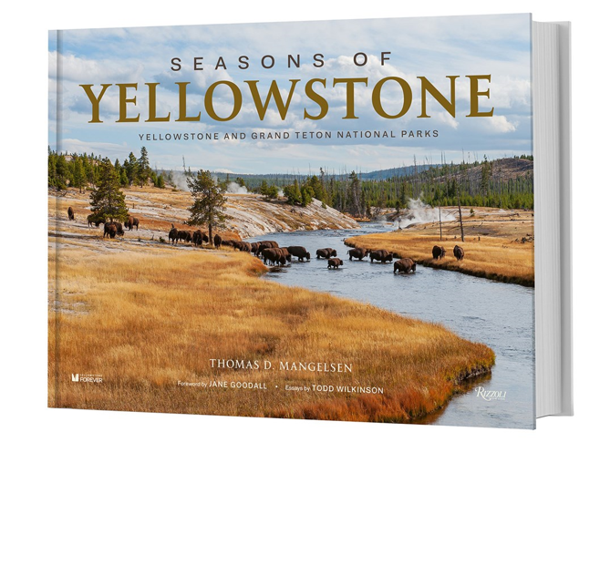 Seasons of Yellowstone Yellowstone Forever