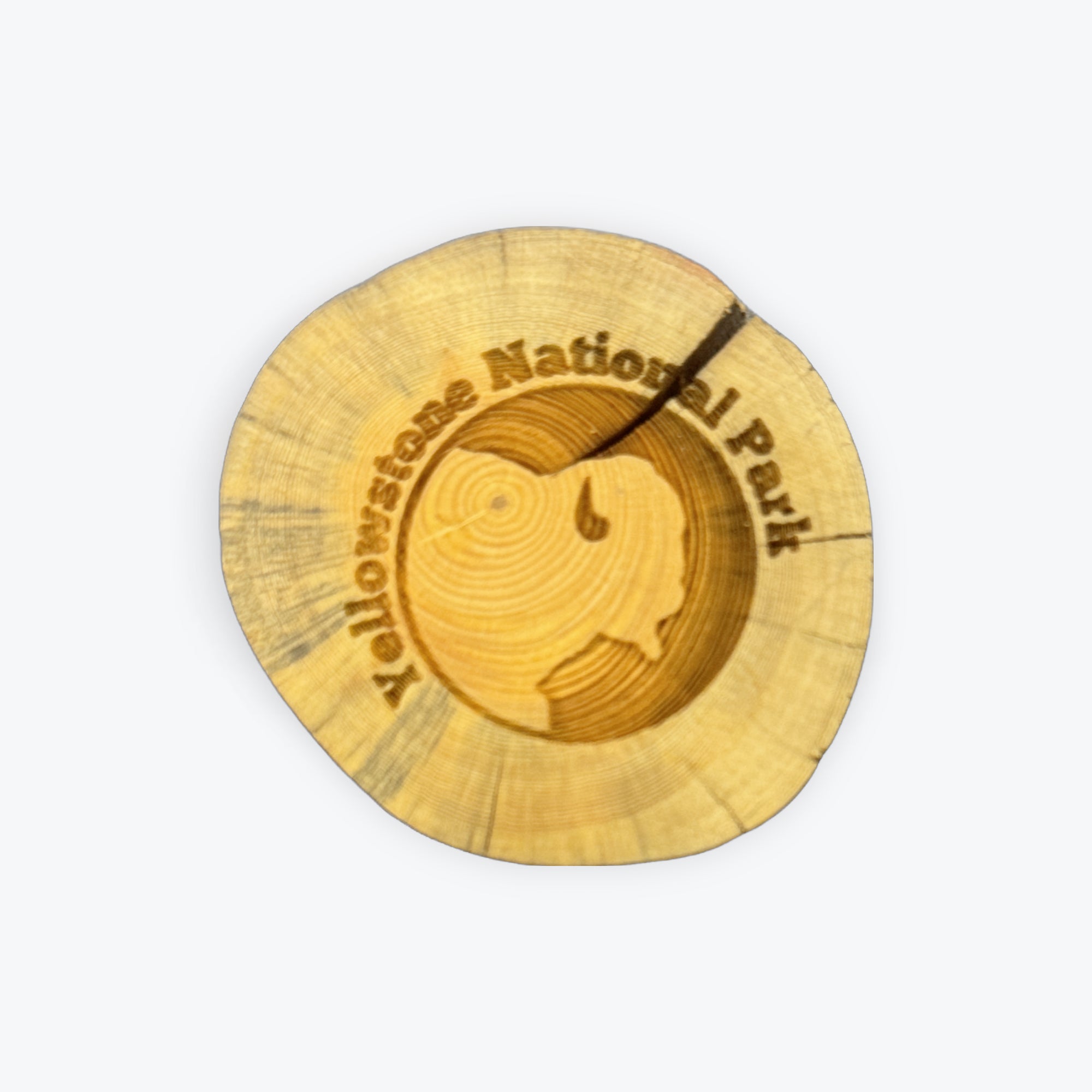 ynp-pine-bison-head-magnet-yellowstone-forever