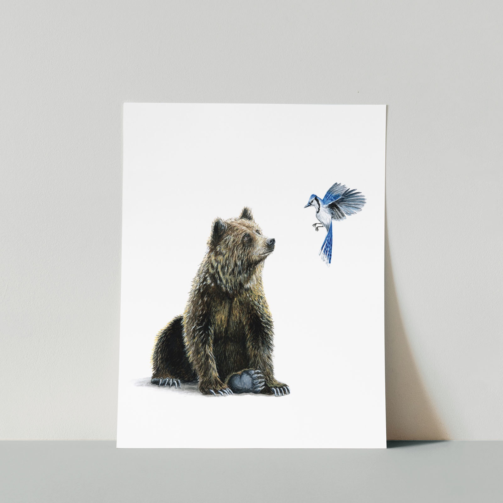 8x10 Grizzly & Blue Jay Print | Yellowstone Forever
