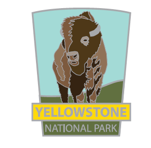 Bison Pin | Yellowstone Forever