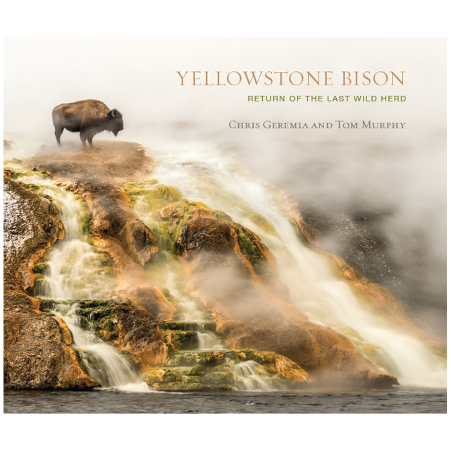 Yellowstone Forever
