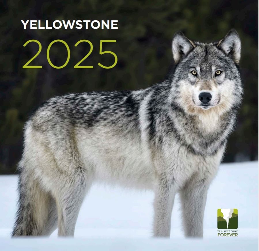 Yellowstone Forever 2025 Calendar Yellowstone Forever